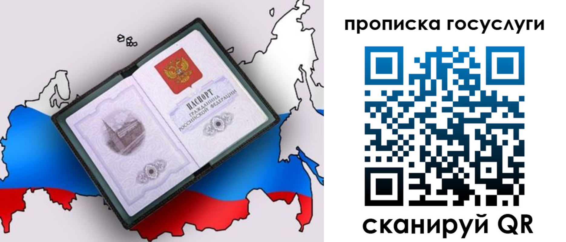 купить прописку в Димитровграде